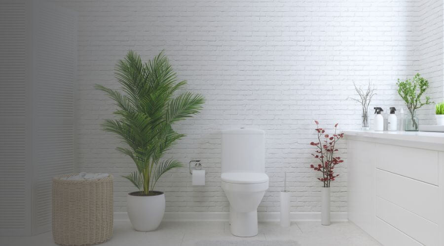 Why choose Waterbury Portable Toilets Rental for construction toilets in Waterbury,Ct